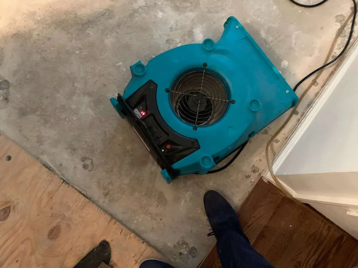 Air mover drying subfloor during Commercial Water Damage Restoration in Francisville